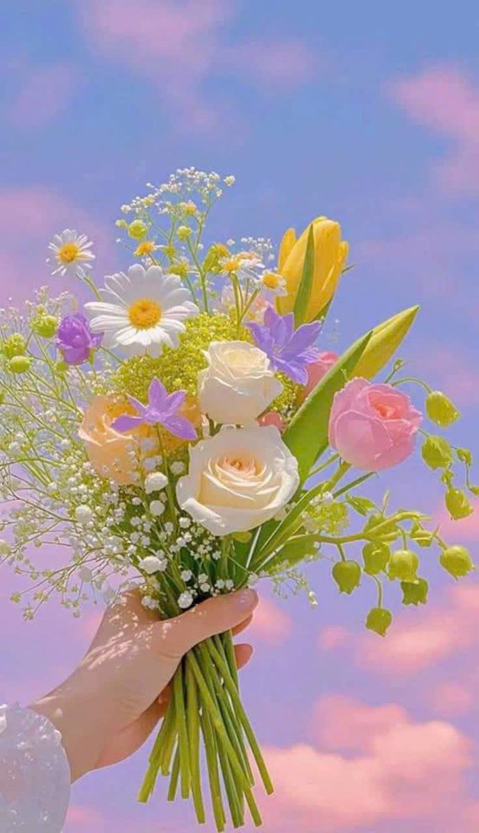 Color Viêt Nam tweet media