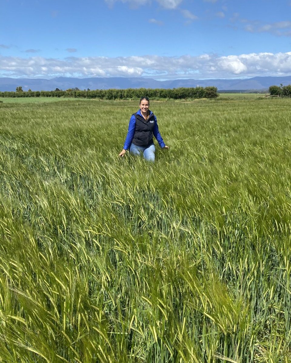 Muirs.Tas tweet media