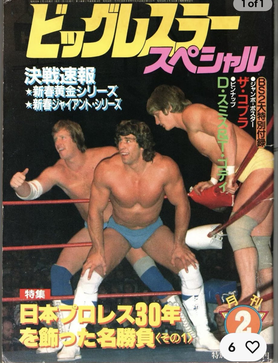 This picture has to be from the 12/2/83 non tv taping Sportatorium card. Ric Flair subbed for Hayes and was pinned by David, losing the 6man title for the Freebirds.  I know plenty of you are saying it’s obvious, from the color of David’s trunks to Kerry’s hair length, to the
