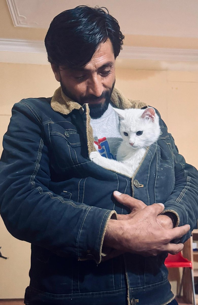 KSARshelter's tweet photo. Please π³, π³ is free!
It's the last day to double your votes for us on My Giving Circle, and we need your help! Every π΅ donated buys us two π³ and every penny of every donation goes to the health, safety, and happiness of the animals that cross our threshold, including our latest intake, Katniss. A tiny, perfectly gorgeous little girl, she's made herself at home in Zahir's π§₯ on this cold evening. They depend on us, and we depend on you.
https://t.co/YSozFw82Nb