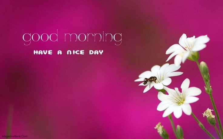 gkour15's tweet photo. #GoodMorningTwitterWorld https://t.co/epkiywttT0