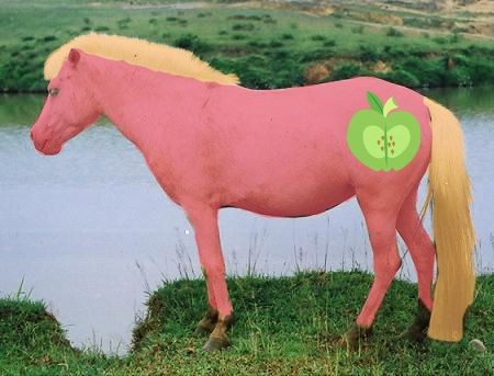 Tota_Taro_art tweet media