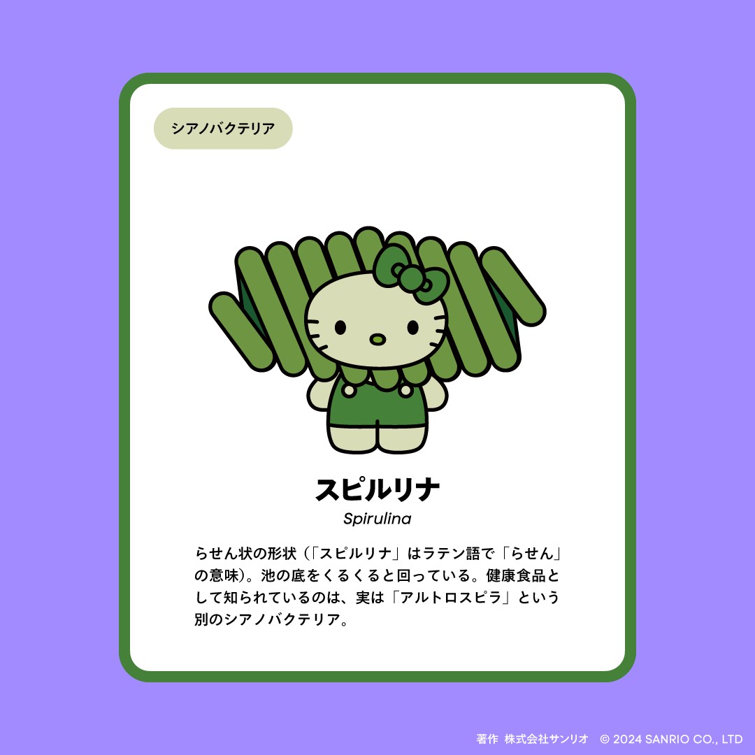 特集】ハロー皆さん!ハロー日本館! かたちで選ぶ「藻類×ハローキティ