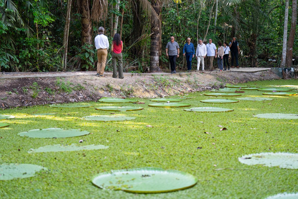 I'm proud to be the first sitting U.S. President to visit the Amazon rainforest.

We must recommit to protecting our planet.
 
Our world's forests are one of the most powerful solutions we have to fight climate change.