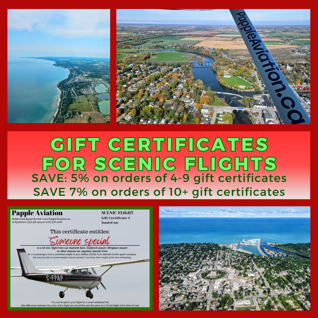 Papple Aviation tweet media