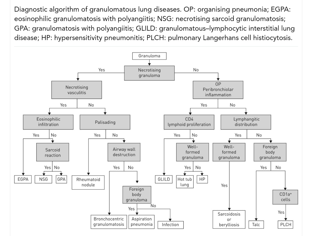 Diagnostic Algorithm of Granulomatous Lung Diseases 🔬
publications.ersnet.org/content/errev/…