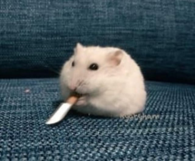 Javi_Awaker's tweet image. Primeras imágenes del líder de la revuelta