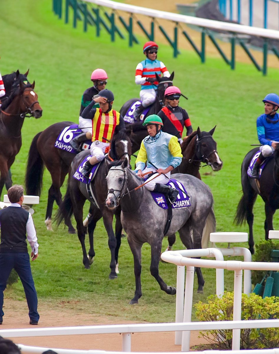 kirakiraboshi45's tweet image. 僕、頑張ったよね？しょも…としながら担当さん見つめるチャリン君が
可愛い🥲

遠い異国でレースお疲れ様でした🥹

＃チャリン
＃マイルCS