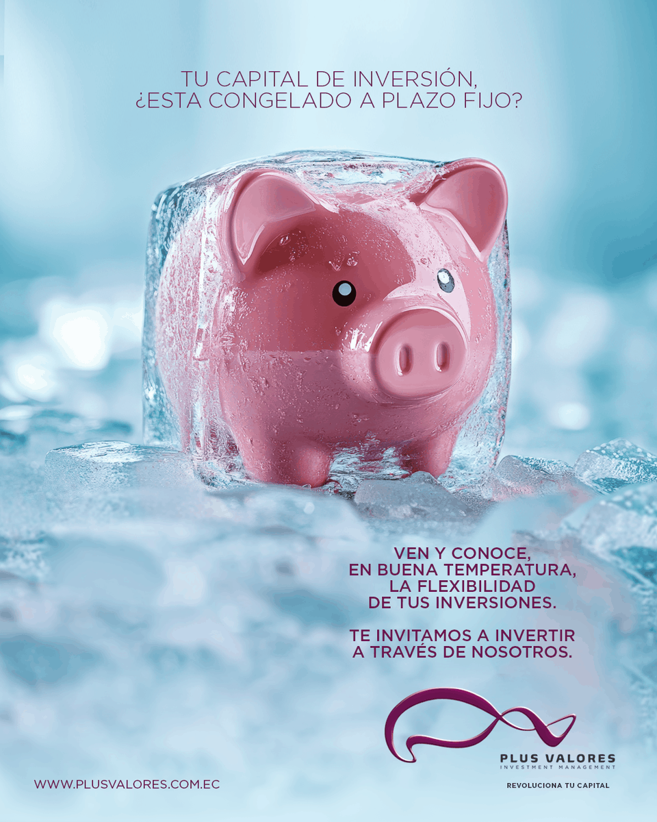 Plus Valores - Investment Management tweet media