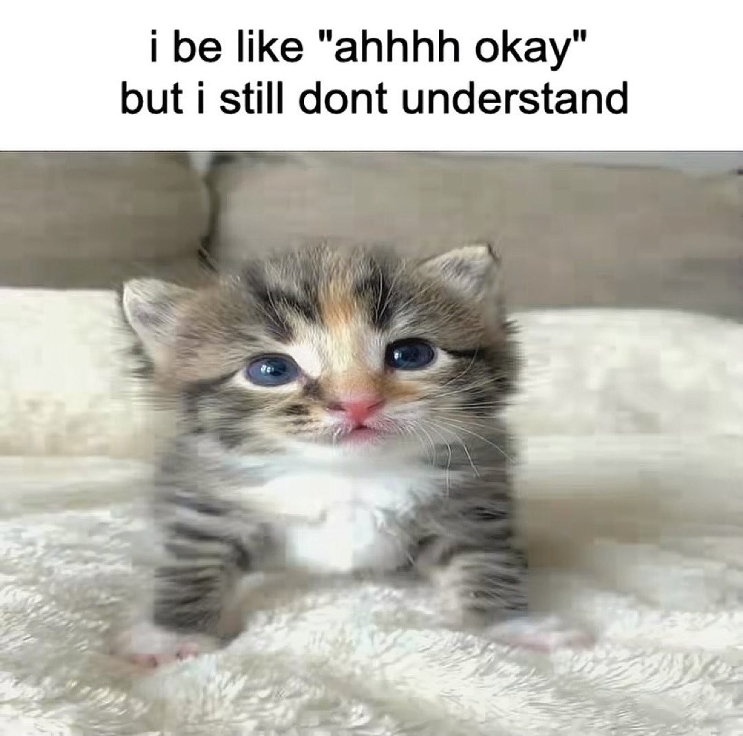 PunchingCat's tweet image. 