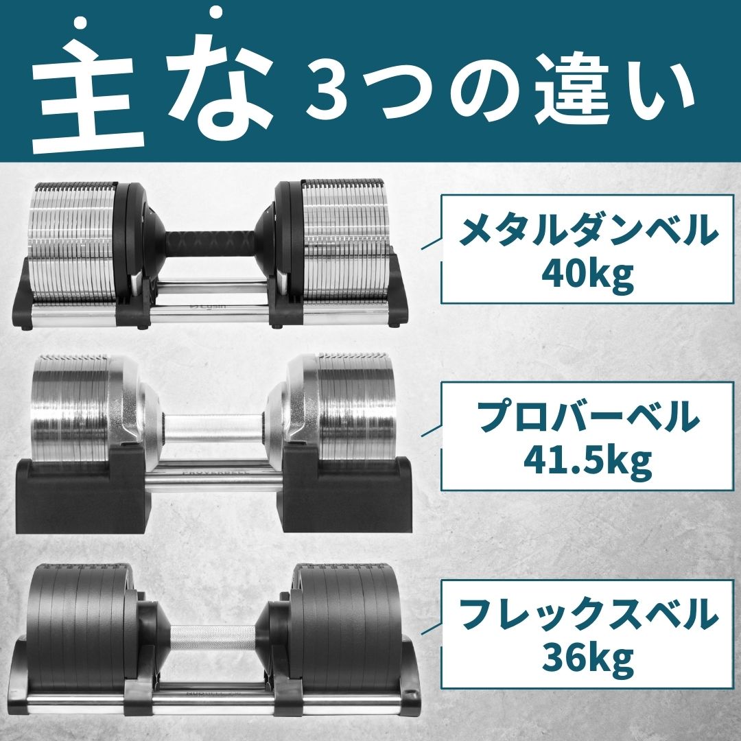 ライシン メタルダンベル40kg 重宝 1kg刻み(フレックスベル ライシン メタルダンベル40kg 重宝 1kg刻み(フレックスベル