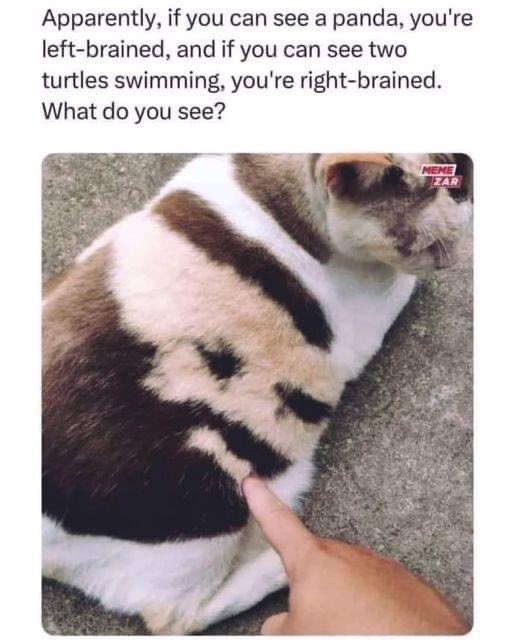 I see the worst elder of the Brotherhood of Steel #fallout