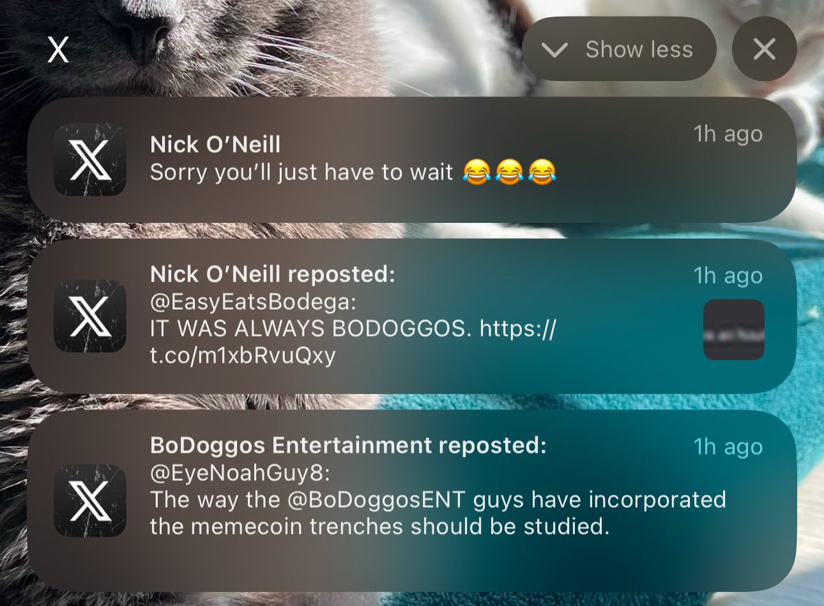 NeelyDAT tweet picture