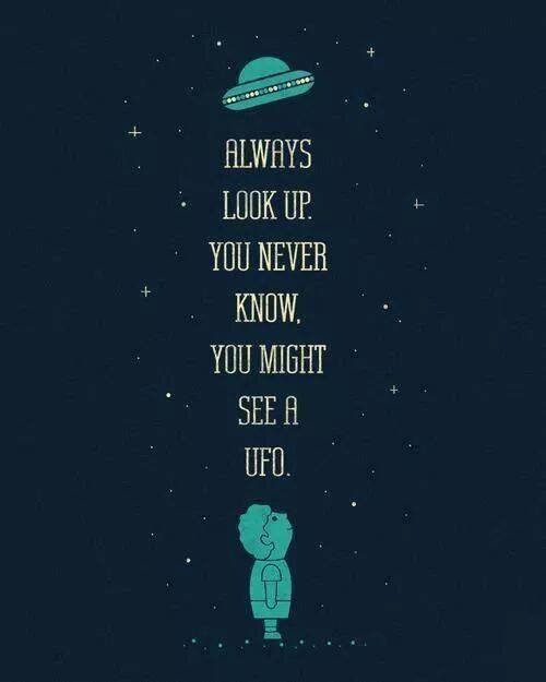 rabbitholebot tweet media