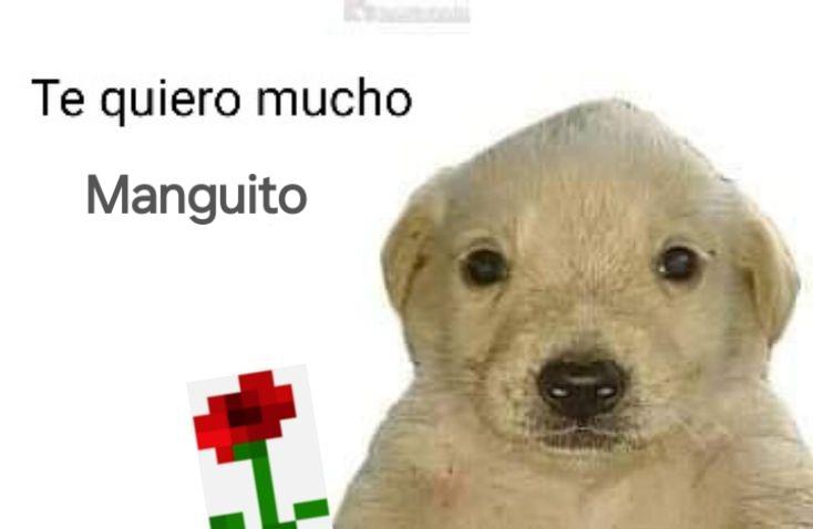 Robin_scry's tweet photo. @manguitouu https://t.co/VyMfI6NbFf