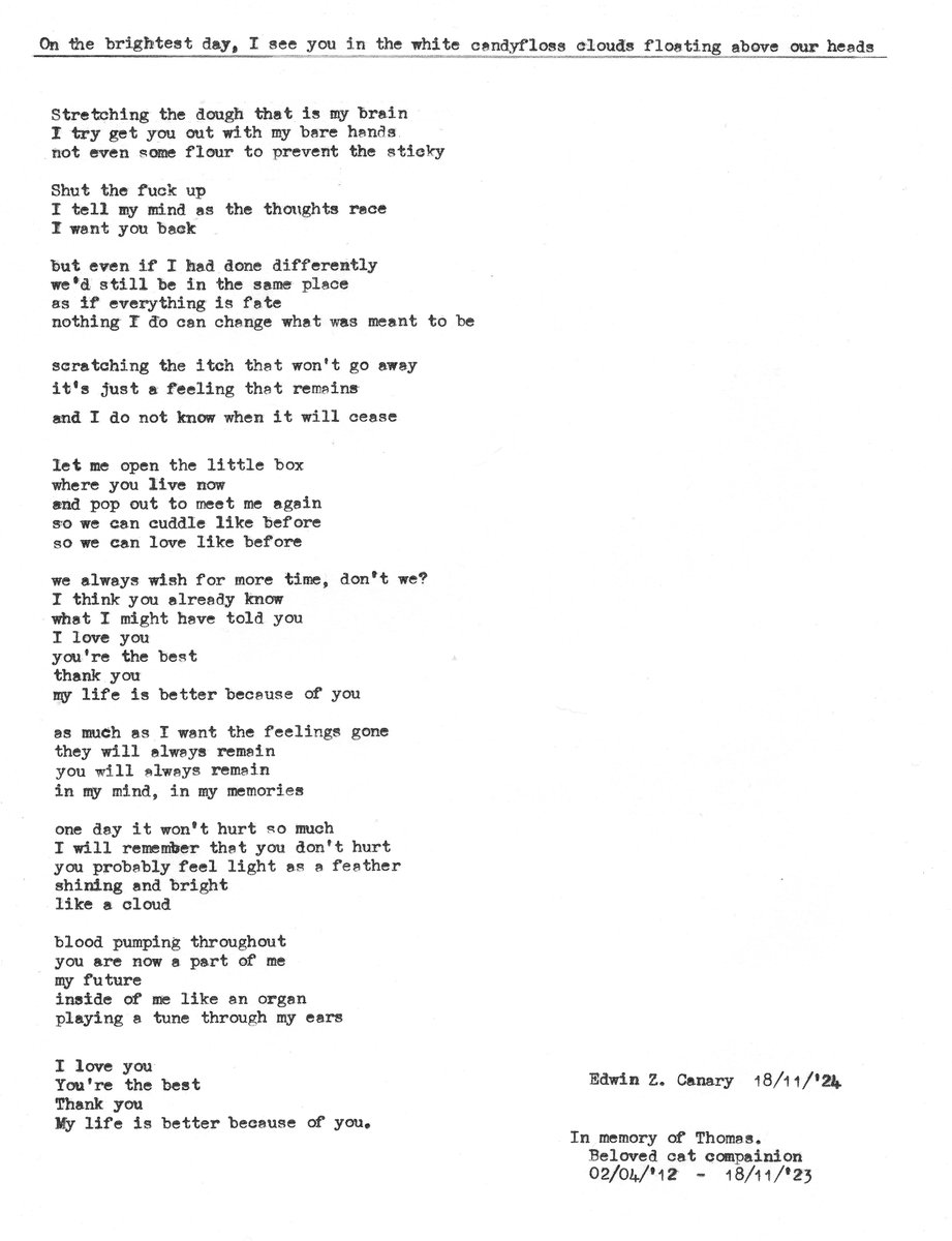 Today marks a year since we lost our cat, Thomas. I wrote this poem in remembrance.

"On the brightest day, I see you in the white candyfloss clouds floating above our heads"