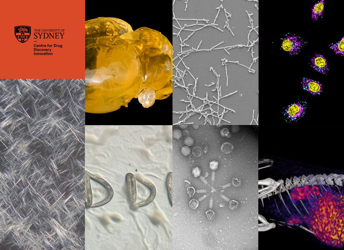 Centre for Drug Discovery Innovation (@sydney_ddi) on Twitter photo 🔔Voting for the DDI Research Image Contest 2024 - People's Choice award closes in two days! 📲 forms.office.com/r/pXF72q962g
This year fantastic snapshots from DDI members' labs have revealed the breadth and beauty of research being conducted <a href="/Sydney_Uni/">University of Sydney</a> 🤩 Congrats to our nominees! 🔔Voting for the DDI Research Image Contest 2024 - People's Choice award closes in two days! 📲 forms.office.com/r/pXF72q962g
This year fantastic snapshots from DDI members' labs have revealed the breadth and beauty of research being conducted <a href="/Sydney_Uni/">University of Sydney</a> 🤩 Congrats to our nominees!
