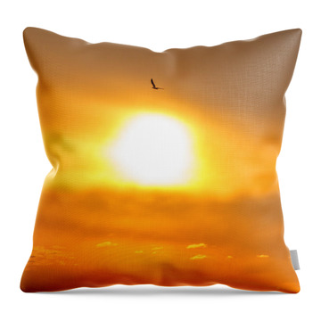 hellosaurav's tweet image. Today Only - 25% Off #HomeDecor (#ThrowPillows, #DuvetCovers, #ShowerCurtains, #BathTowels, #CoffeeMugs, and #FleeceBlankets) - Ends 11:59 PM Eastern U.S. time Visit fineartamerica.com/profiles/saura… #SauravPhoto