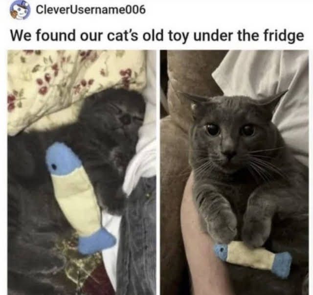 🕐HOURLY🕑 shitpost (@hourly_shitpost) on Twitter photo 