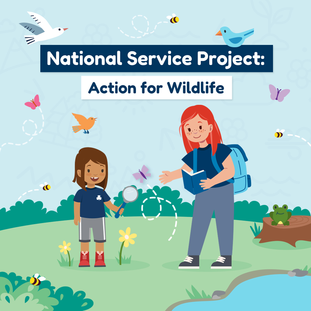 girlguidesofcan's tweet photo. NEW activities for the National Service Project: Action for Wildlife! 🐝🐦

Whether you’re interested in creating pollinator watering stations, building a nesting box, or protecting turtle eggs we’ve added NEW activities to help protect Canadian wildlife! https://t.co/aZCGLHUbB9 https://t.co/GjN1YdA5AF