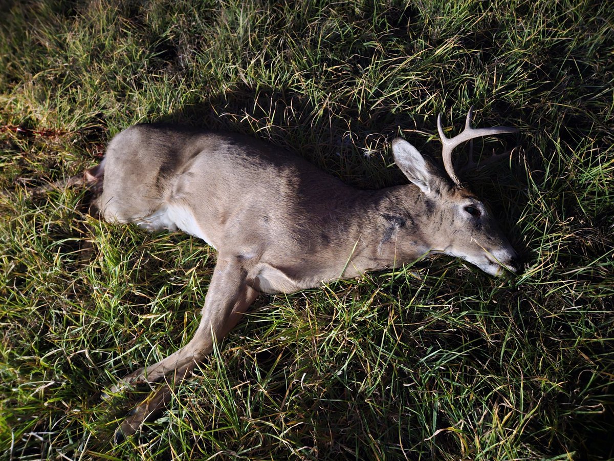 Jessica Staricka tweet media