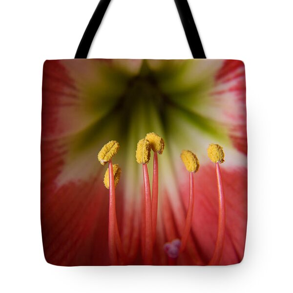 hellosaurav's tweet image. Today only - 25% Off #Puzzles, #ToteBags, #WeekenderToteBags, #ZipPouches, and #YogaMats. Ends 11:59 PM Eastern U.S. time Visit fineartamerica.com/profiles/saura… #SauravPhoto
