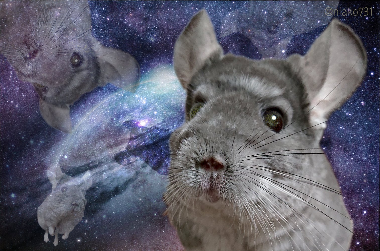ニアコ🐭SunezumiSHOP (@niako731) / X