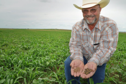 Green Cover Seed tweet media