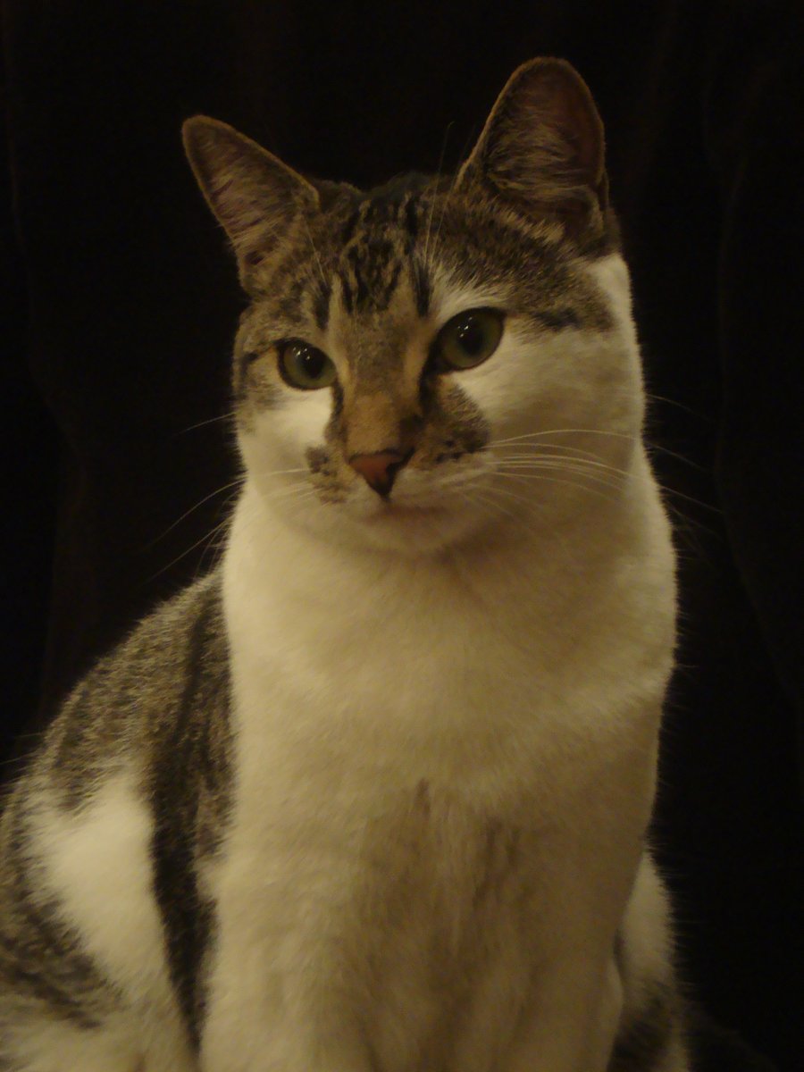 Thomas - 02/04/2012 - 18/11/2023