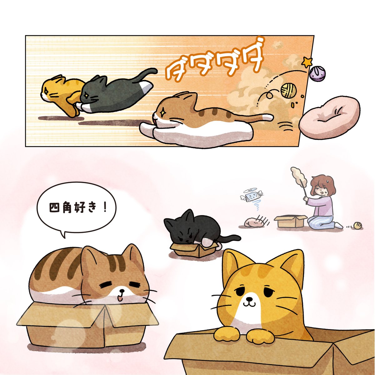 poundcat_'s tweet photo. 私はとても高い箱を買ったことになるんですね。
もうお金がすっからかんです... #poundcat https://t.co/IecVmBukwo