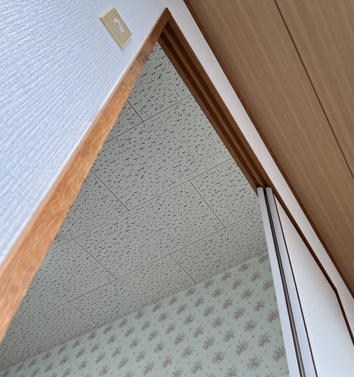 アクセルさんの日常垢 tweet media