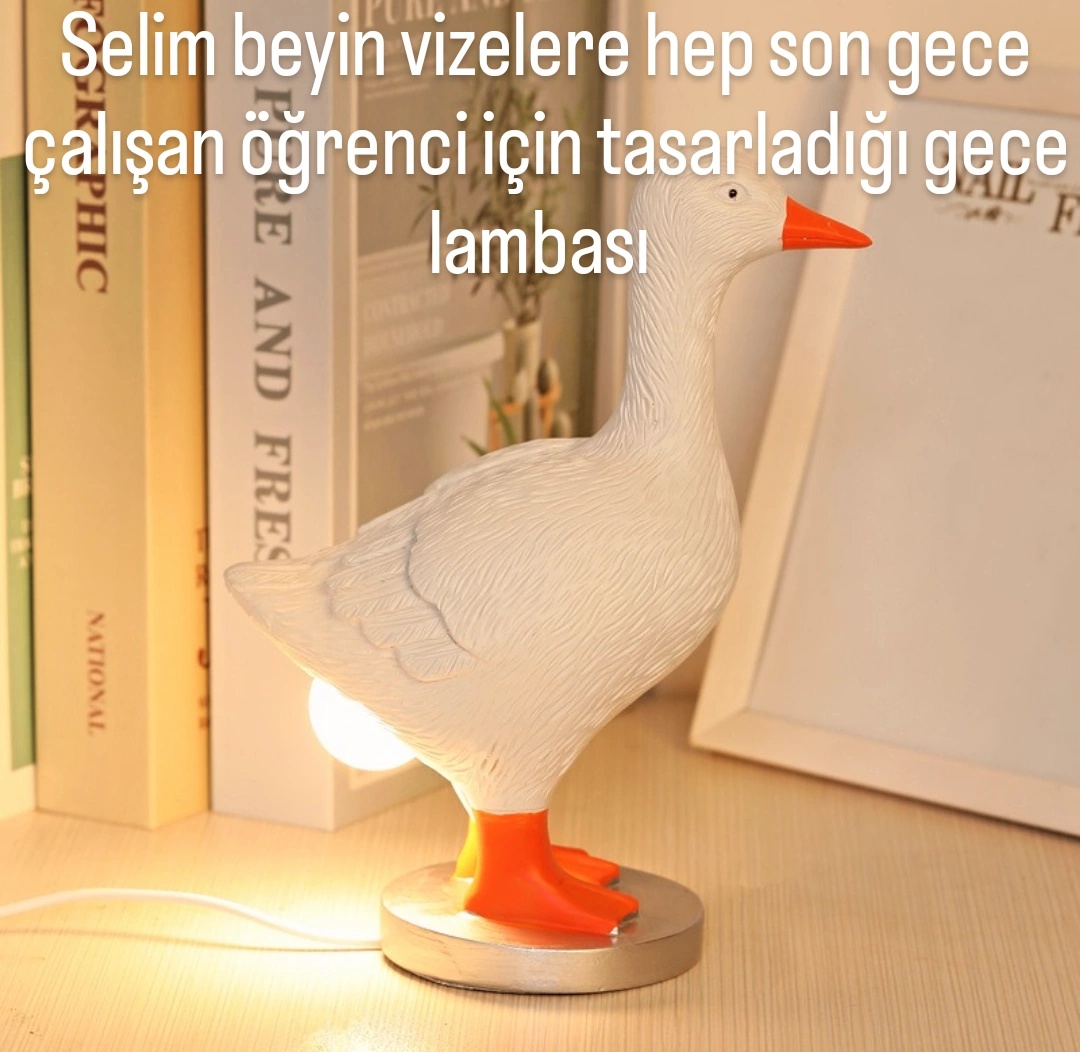 anlikmod's tweet photo. https://t.co/WYCbakStGD