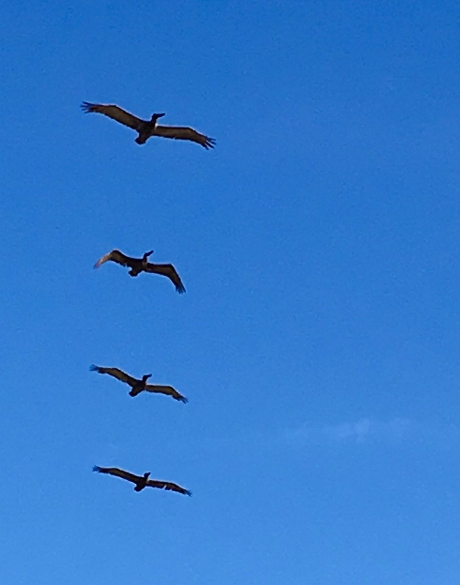 Jen Madden tweet media