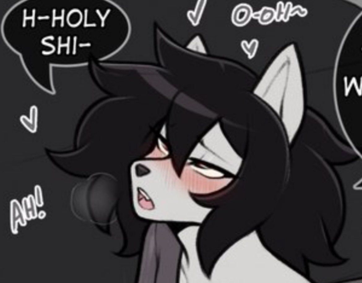 BARK BARK BARK BARK BARK WOOF WOOF — !