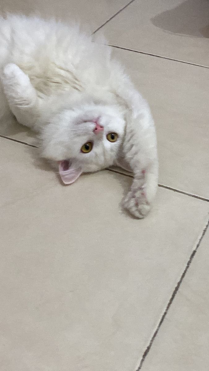 salmon_ag's tweet photo. เรียนคนเดววว https://t.co/IPIWx75GYP