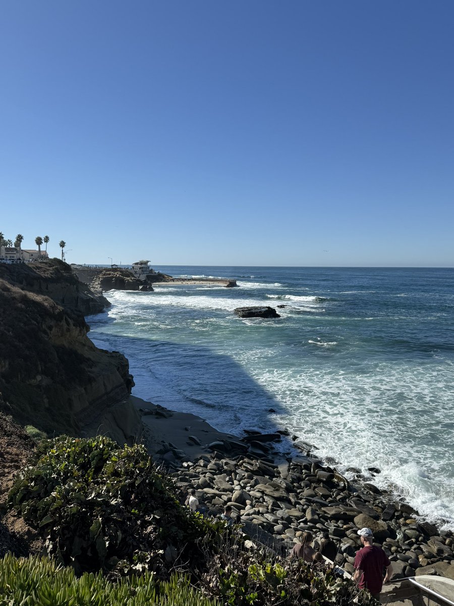 Patrick Langridge tweet media