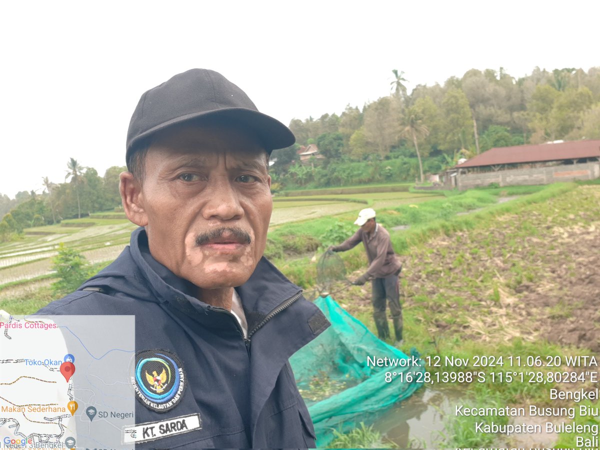 ketut_sarda's tweet photo. 12 /11/24 Ketut Sarda Luhkan Buleleng,di POKDAKAN Tirta Amerta Desa Bengkel Kecamatan Busungbiu ,panen Nila,Kolam Tanah ,sebanyak 90 Kg,luas kolam 4,0 Are ,zise 250-300 gram,harga 25.000/Kg
#GiatLuhkanSatminkalGondol
#Buleleng
#luhlapor
#brsdm_kp
@puslatlukp https://t.co/RKsJ8CKUjb