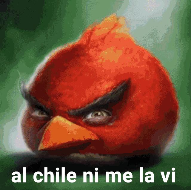 Xiaroyt's tweet photo. Cuando veo a todos discutiendo por los Squid Craft Games 3 y me preguntan mi opinion: https://t.co/gk18KzA3lA