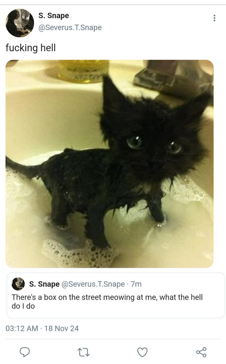 HPSillys's tweet photo. Severus to the rescue 🫶🏼 https://t.co/vteyiKGKh6