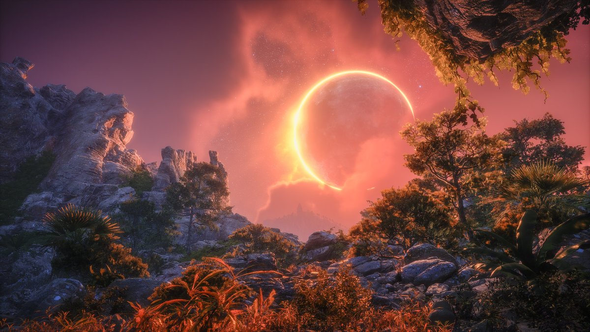 Jaxter~🌹💣 Exploring Arlathan Forest tweet media
