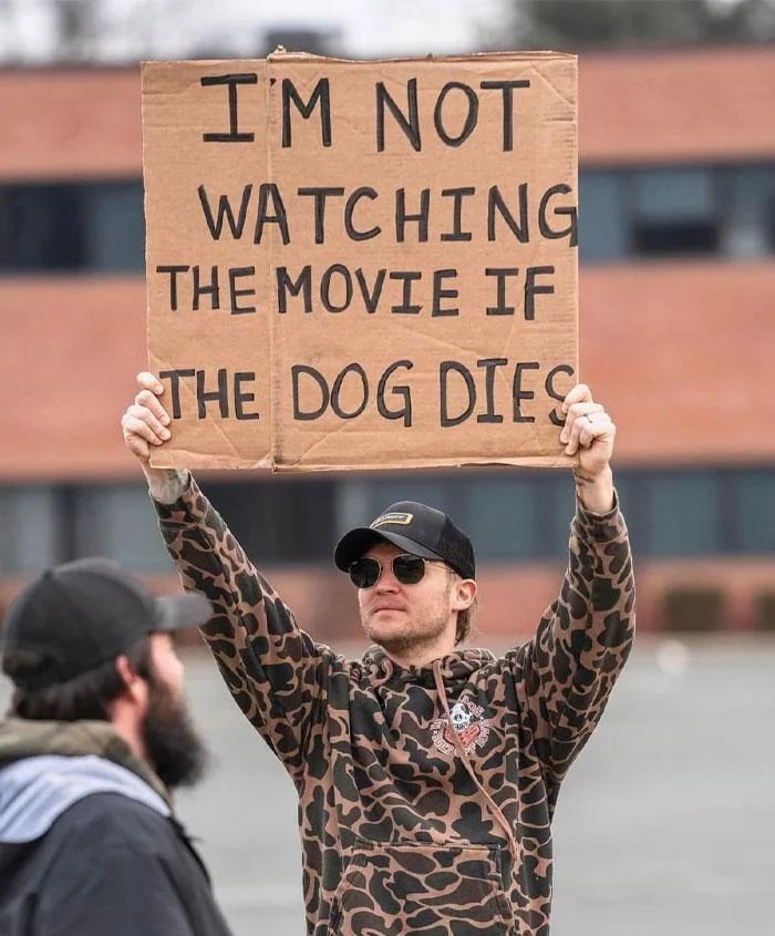 WholesomeMemes (@wholesomememe) on Twitter photo 