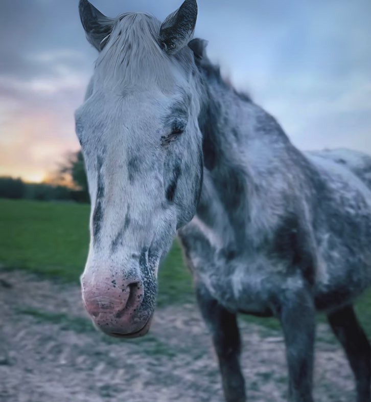 ollyadolly23's tweet image. $Cheyenne next Big Deal.
Check out @CheyenneCTO today