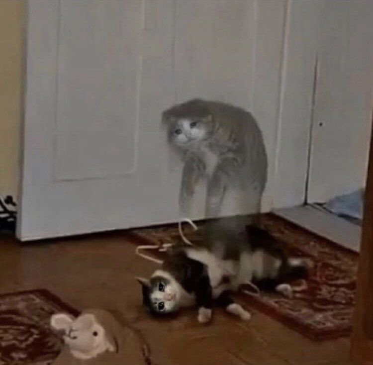 สภาพกูเช้านี้ สมน้ำหน้าตัวเองที่นอนดึก