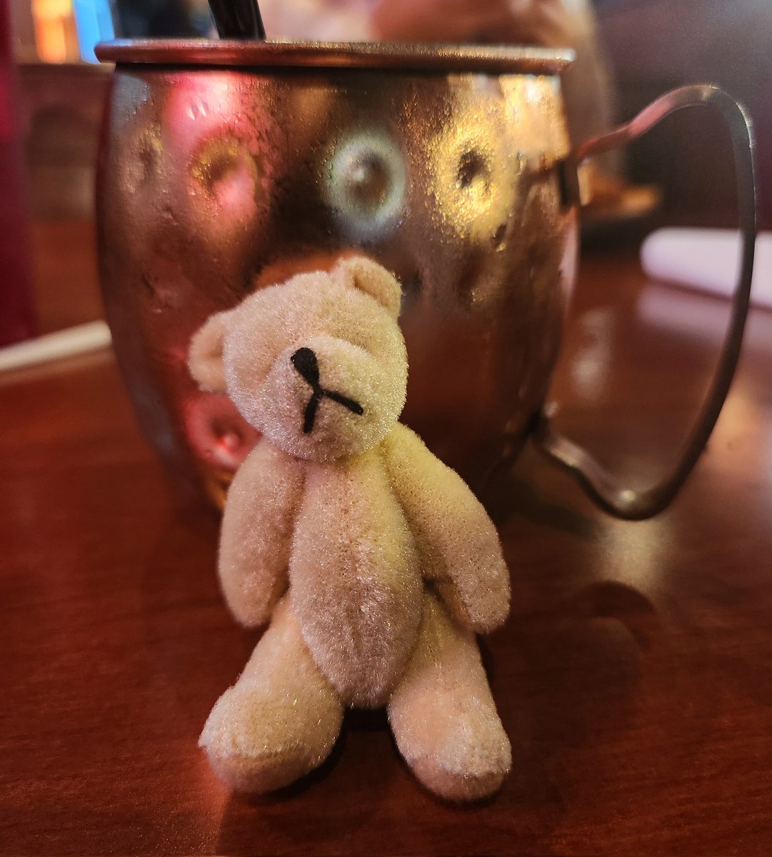 LittleBearFoundation tweet media