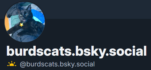 Bbella and MOLLY Burd! 🇵🇸 tweet media