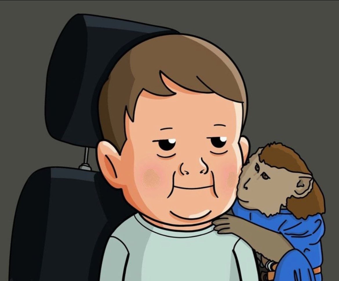 $JIMMY informing hasbulla not to sleep tonight the the charts are healthy and awake 🍌 🐵