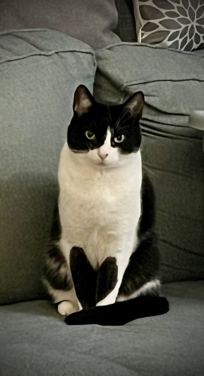 Marc  R Baum tweet media