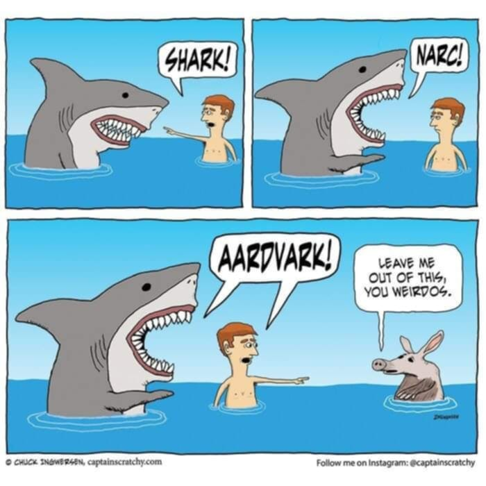 MichaeFleetwood's tweet image. :D #pdtv #wildearth #safarihumor