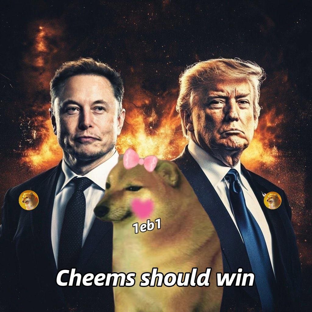 CHEEMS tweet media