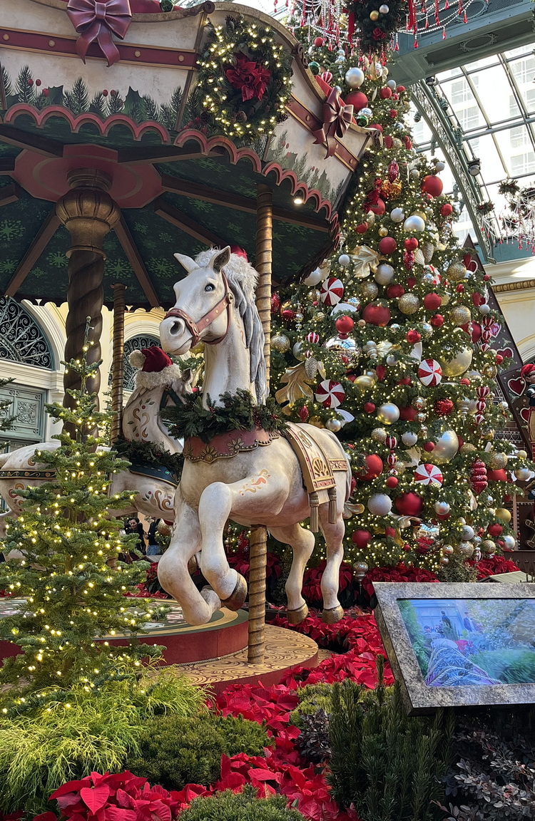 Nancy Jaffer (@nancyjaffer) on Twitter photo 